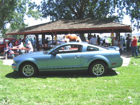 Pam Neiffer - 2005 Mustang