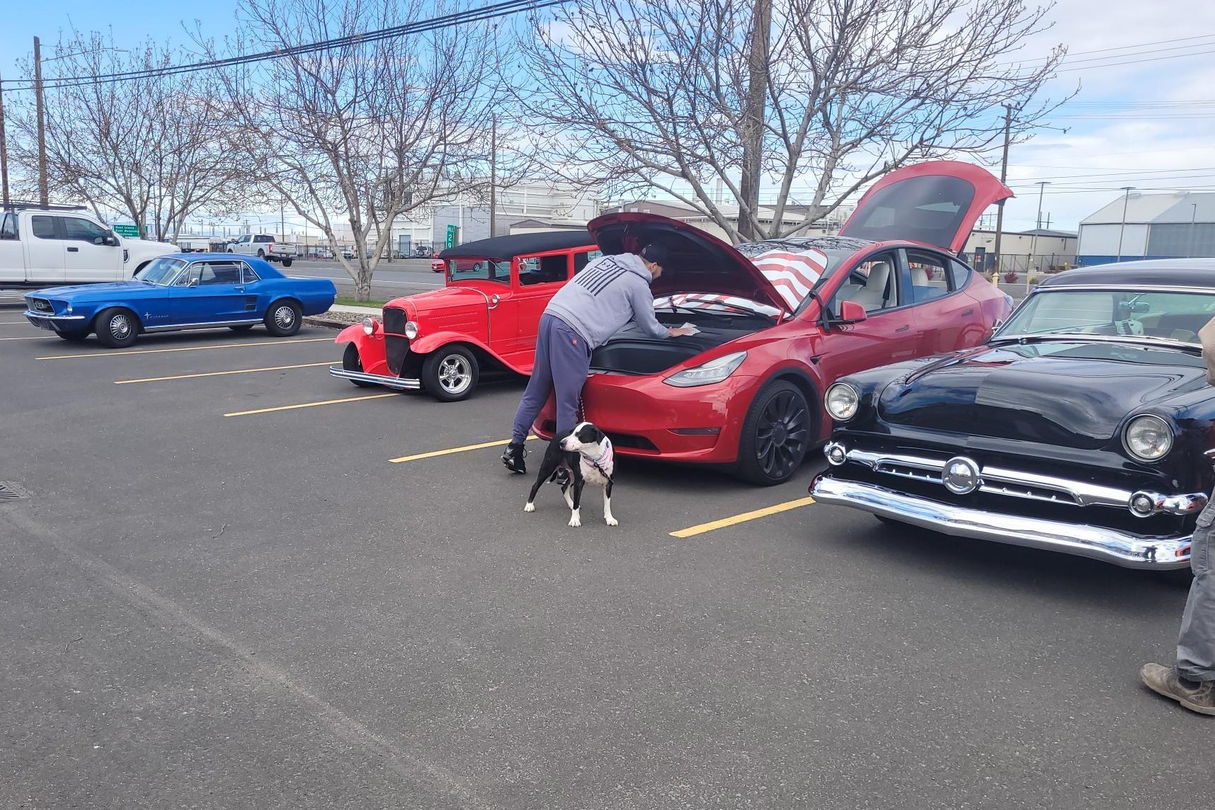 Mustang, Tesla EV,  Ford